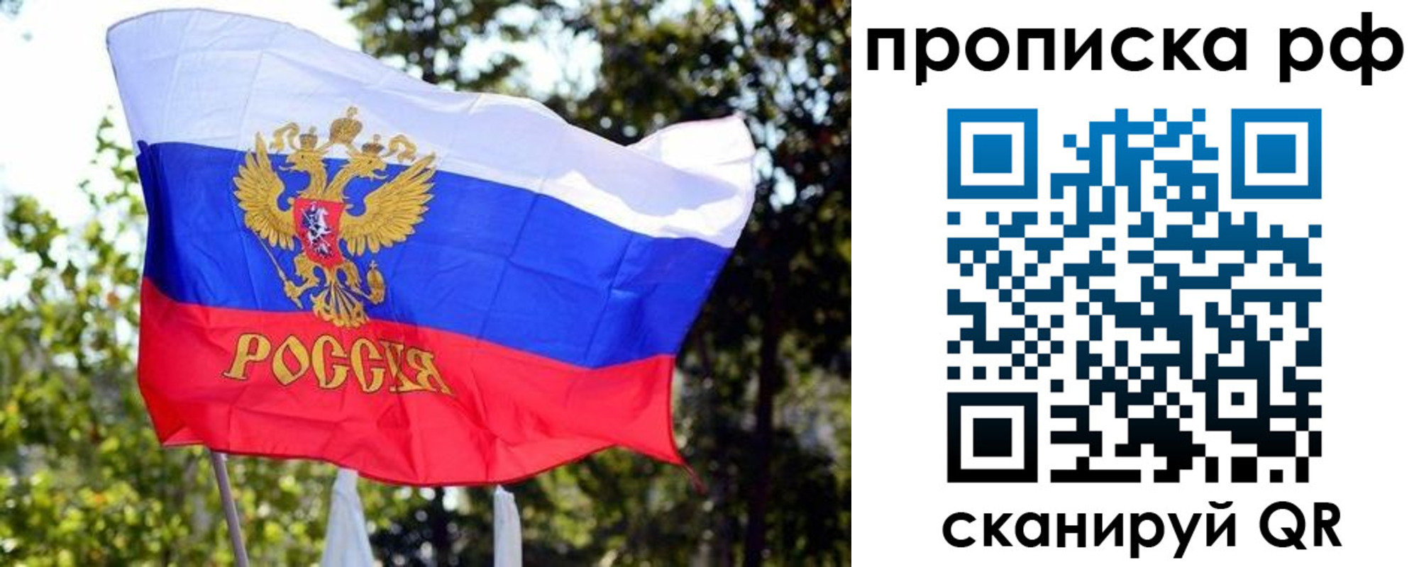 временная регистрация надежно в Зее