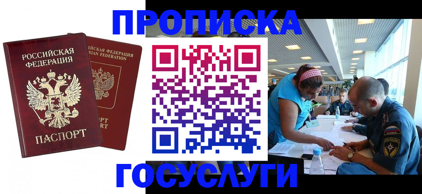 прописка поиск в Зее